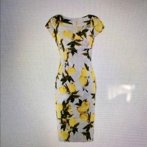 Brand new body con lemon print dress 10